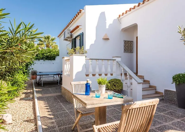 فيلة Carpe Diem By